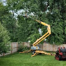Best Tree Cabling and Bracing  in Twin Grove, IL